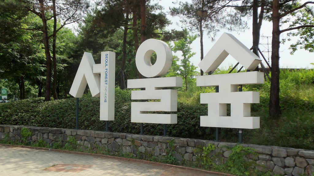 summer in korea