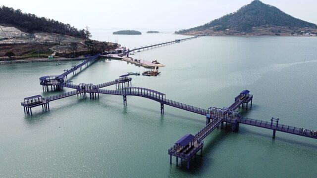 the purple bridges to get on the purple islands