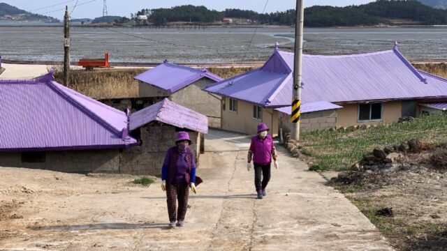 locals on the purple island in korea