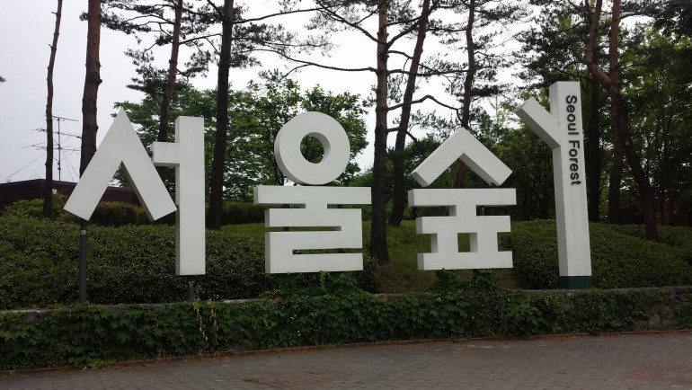 K--Pop Travel Destinations Seoul Forest